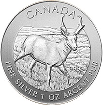 2013 1oz Silver CANADIAN PRONGHORN ANTELOPE